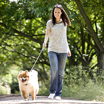 weight-loss-stripes-walking-dog