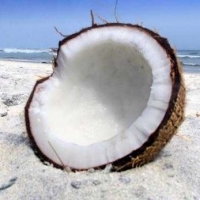 Coconut Oil For Weight Loss And How It Can Help You